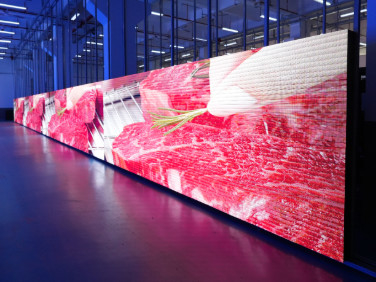 Affichage à LED à haute luminosité pour la publicité extérieure pour panneaux d'affichage